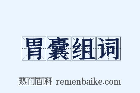 胃囊组词是什么意思的图片